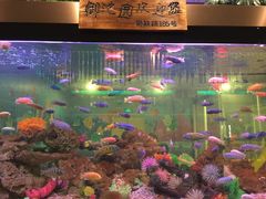 -御池园(顾村公园店)