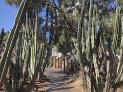 -墨尔本皇家植物园