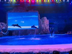 -华夏文旅海洋公园