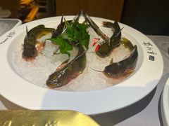 -蜀九香火锅(玉林店)