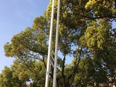 -苏州外国语学校