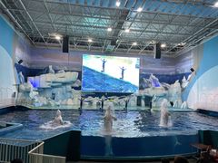 -福州罗源湾海洋世界旅游区