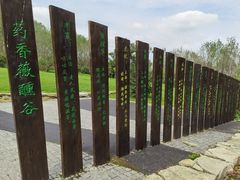 -溱湖国家湿地公园