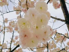 -贵州省植物园