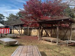 -醍醐寺