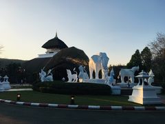 -清迈夜间动物园