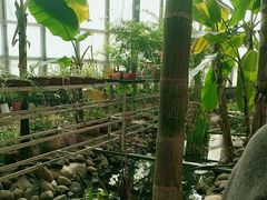 -第五季龙水凤港生态露营农场