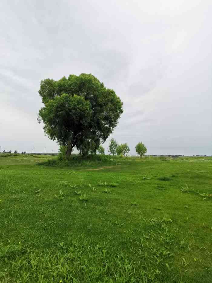 张北天保那苏图草原旅游度假区