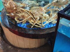 -绿雅居原生态农庄(小涌店)