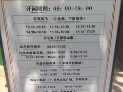 -西双版纳原始森林公园