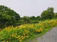 -梁鸿国家湿地公园