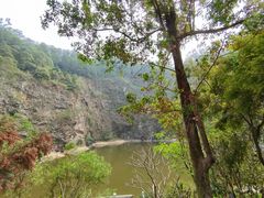 -火炉山森林公园
