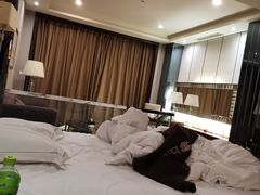 -碧桂园凤凰城酒店(南京店)