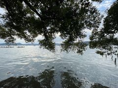 -杭州城中香格里拉大酒店