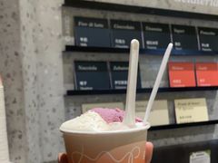 -Dip in Gelato(富民路店)