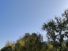 -元大都城垣遗址公园