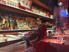 -鸡尾酒实验室酒吧(隆礼路店)