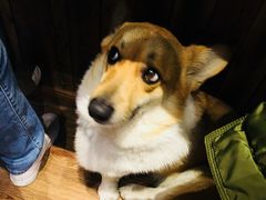 -阿木舂记·特色小吃(平江路店)