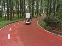 -黄海国家森林公园