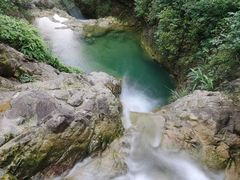 -南海湾森林生态园