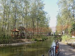 -合肥滨湖国家森林公园