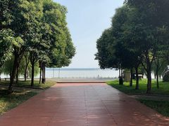 -扬子江公园