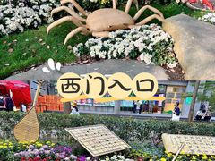 -上海共青森林公园