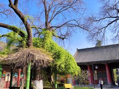 -关中书院