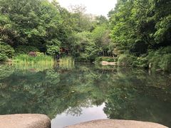 -杭州半山国家森林公园