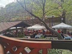 -Local泰莲庭(虹鳟鱼店)