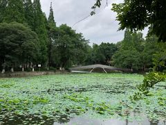 -西南交通大学(九里校区)