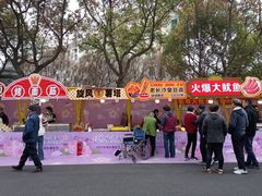 -高东镇樱花园