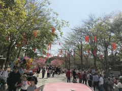 -广东茂名森林公园