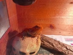 -Rabbit Cafe私房西餐甜点咖啡(栖霞路店)