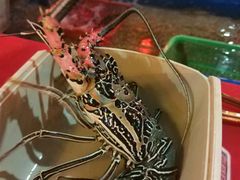 -灯笼馆海鲜餐厅