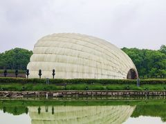 -上海吴淞炮台湾国家湿地公园