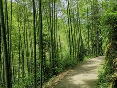 -千泷沟大瀑布旅游区