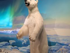 -陕西自然博物馆