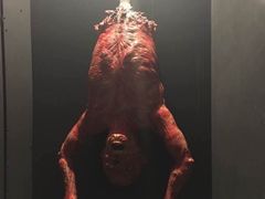 -密讯馆密室逃脱&换装侦探剧(环球港旗舰店)