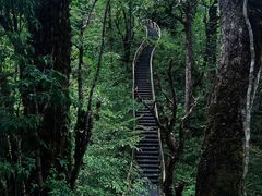 -龙苍沟森林公园