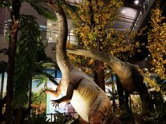 -湖南省地质博物馆