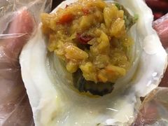 -堕落小龙虾(兰州旗舰店)
