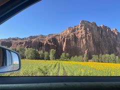 -张掖大佛寺景区