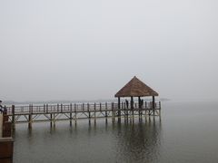 景点-瑶湖郊野森林公园