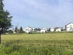 -莲花岛景区