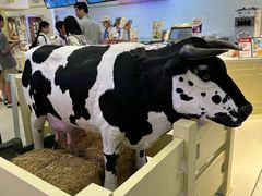 -红星前进面包牛奶公司(君太店)