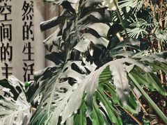 -瑞虹新天地月亮湾