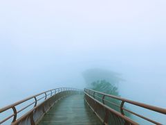 -少华山国家森林公园
