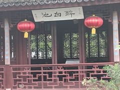 -上海醉白池公园
