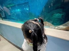 -苏州海洋馆
